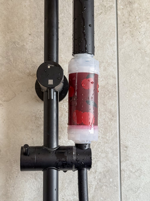 Vitamin Shower Filter